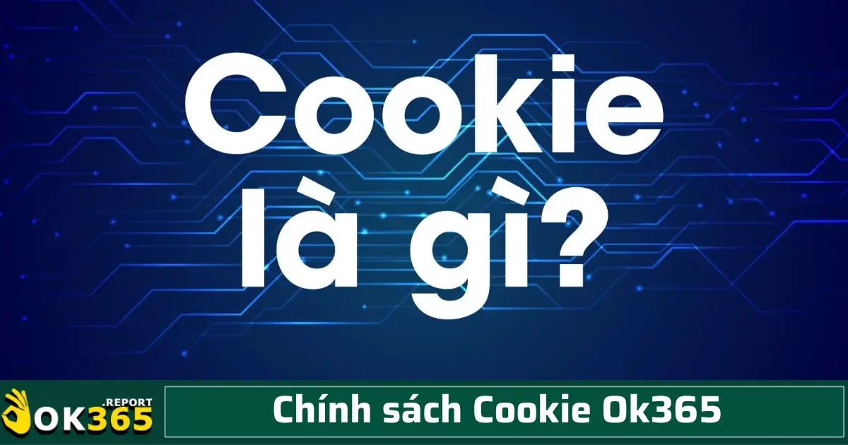 Chính sách Cookie OK365 3 Chính sách của chúng tôi khuyến khích khách hàng lựa chọn quyền kiểm soát phù hợp nhất với mức độ bảo vệ cá nhân mong muốn.