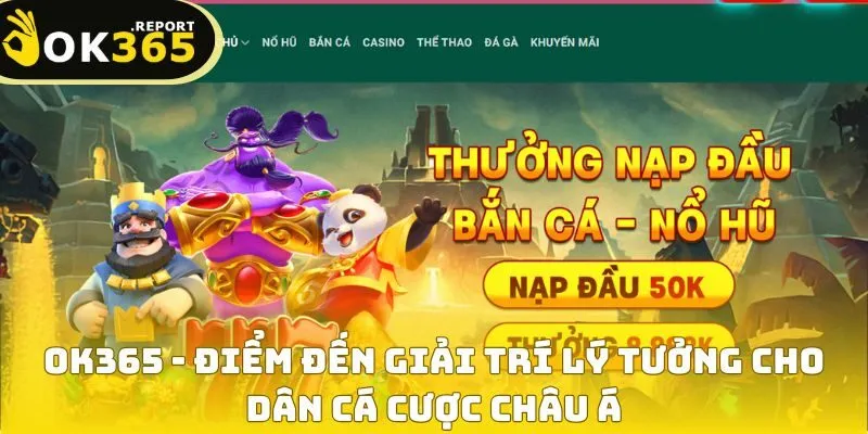 Ok365 183 Đánh giá của người chơi về nền tảng cá cược