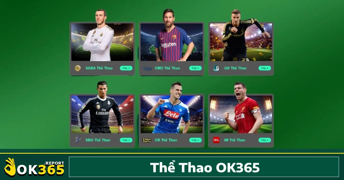Thể Thao Ok365 1 Thể thao Ok365 mang đến một không gian cá cược trực tuyến uy tín, đến đây người chơi được tiếp cận hơn 25 bộ môn với tỷ lệ cạnh tranh mỗi ngày.